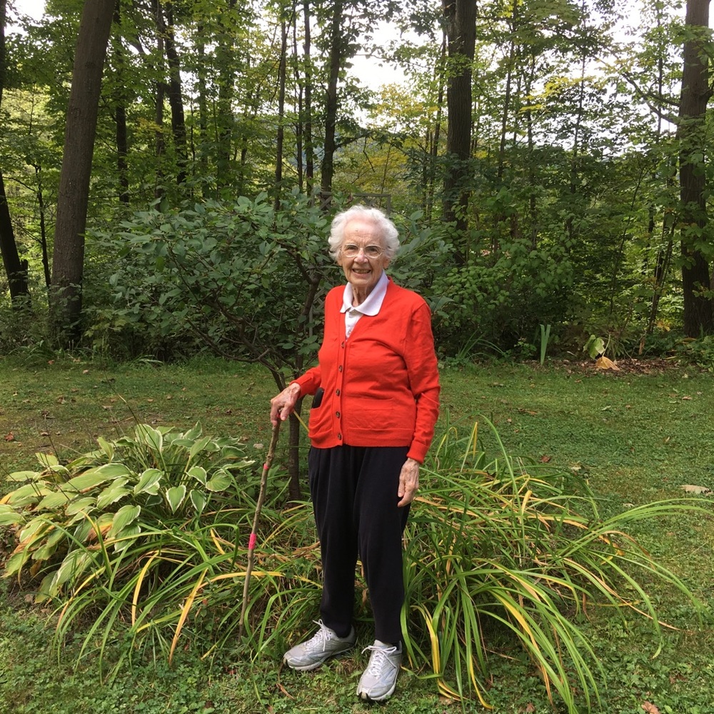 Meet your Posher, Laura